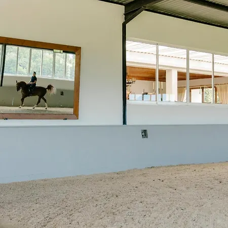 팜스테이 Monte Ingles Ponta Delgada