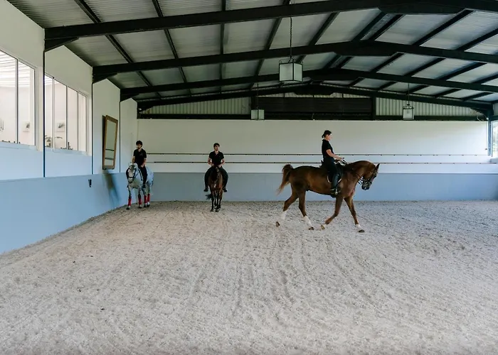 Monte Ingles * Понта-Делгада