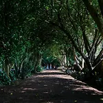Monte Ingles Farmház Ponta Delgada