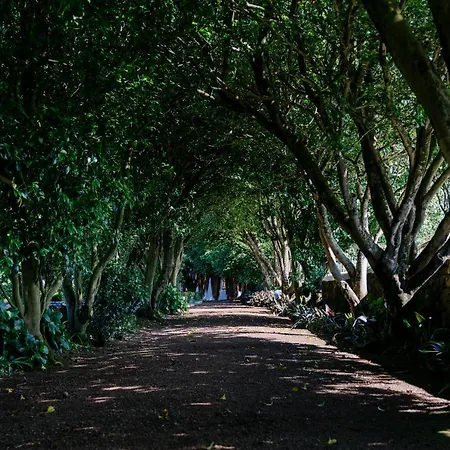 Monte Ingles Farm stay Ponta Delgada (Sao Miguel)
