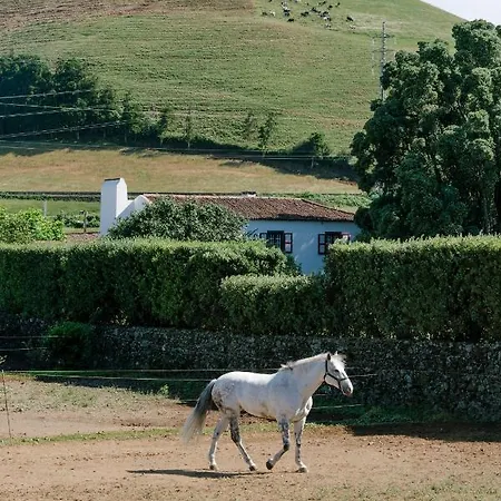 Monte Ingles Ponta Delgada (Sao Miguel)