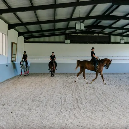 Monte Ingles * Ponta Delgada