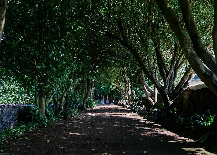 Monte Ingles בית חווה Ponta Delgada