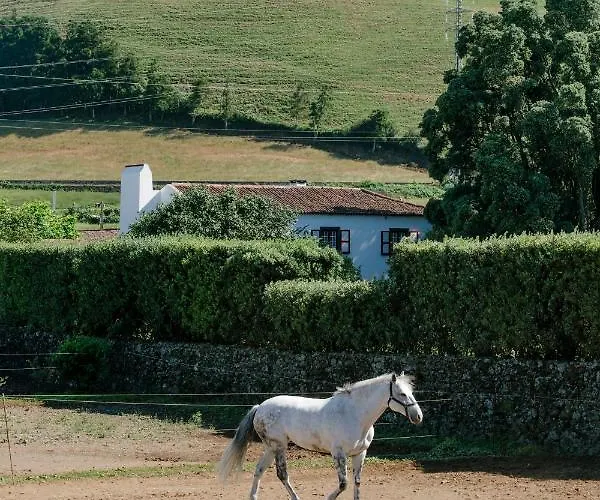Monte Ingles Ponta Delgada